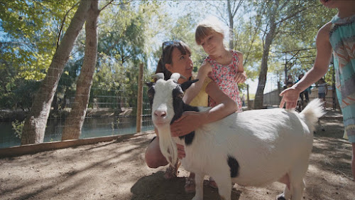 LES PETITS FERMIERS - Parc animalier et de loisirs - Lansargues à Lansargues