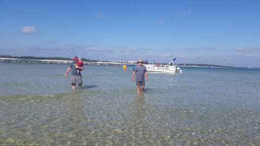 Tourist Attraction «Shell Island Beach», reviews and photos, 4607 State Park Ln, Panama City, FL 32408, USA