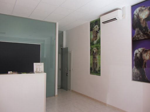 Blázquez Clínica Veterinaria en Benicàssim