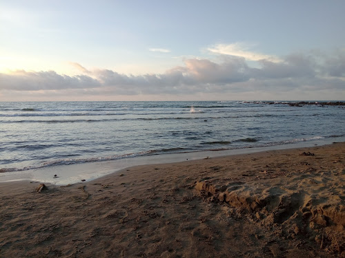 Playa Revolucion photo #2