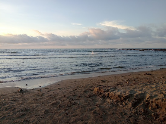 Playa Revolucion