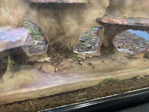 Pet Supply Store «Petco Animal Supplies», reviews and photos, 308 E Meighan Blvd, Gadsden, AL 35903, USA