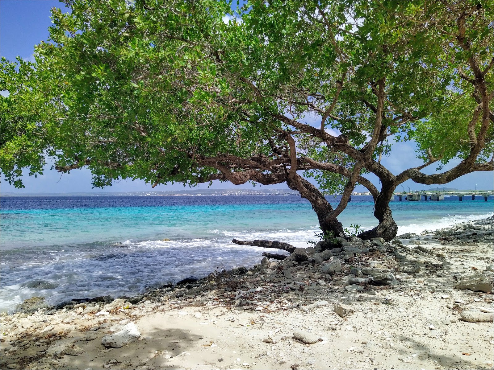 Palu di Mangel Beach'in fotoğrafı ve yerleşim