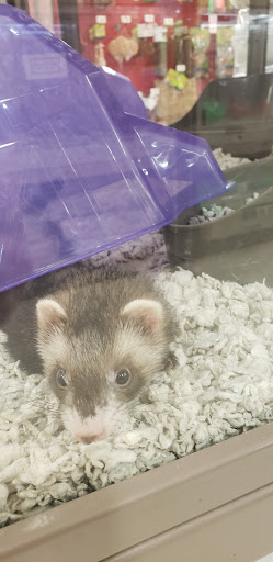 Pet Supply Store «Petco Animal Supplies», reviews and photos, 187 Stonebrook Pl, Jackson, TN 38305, USA