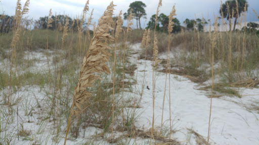 Tourist Attraction «Shell Island Beach», reviews and photos, 4607 State Park Ln, Panama City, FL 32408, USA