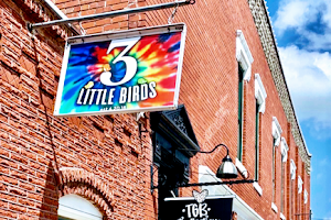 3 LITTLE BIRDS LLC image