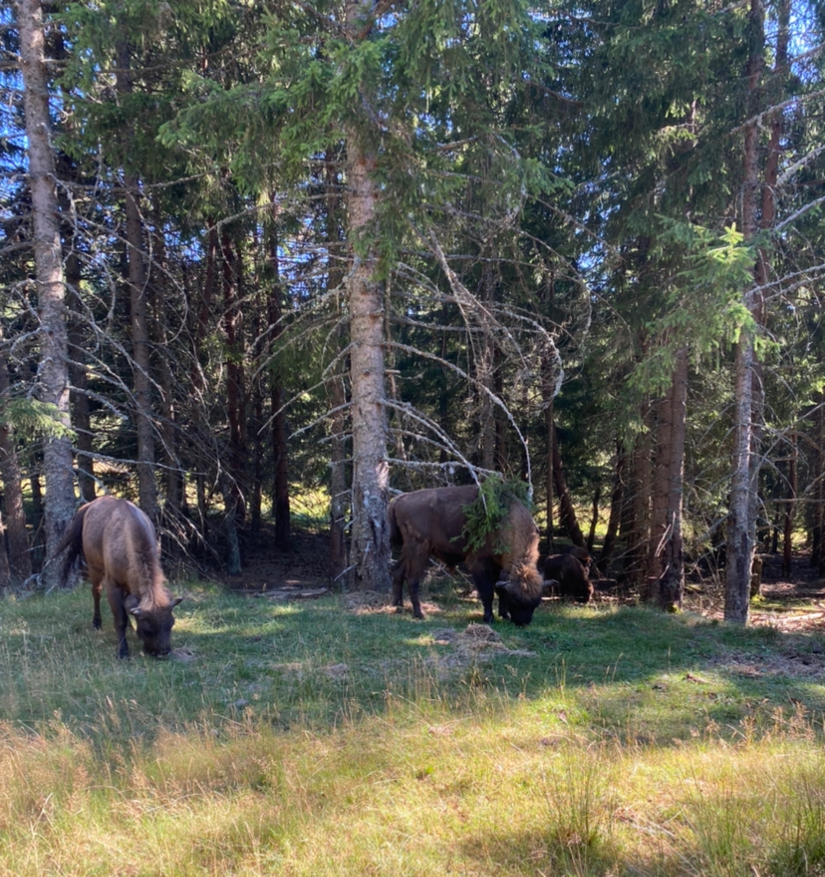 Photo n° 3 de l'avis de Agathe. fait le 04/08/2022 à 12:02