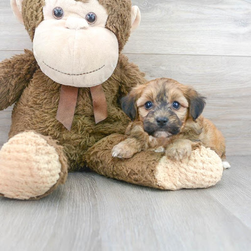 Pet Store «PV Pets», reviews and photos, 233 S Broadway, Pennsville, NJ 08070, USA