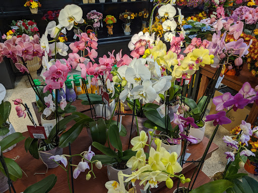 Grocery Store «Kroger», reviews and photos, 7467 St Andrews Rd #6, Irmo, SC 29063, USA