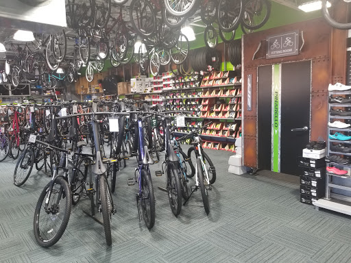 Bicycle store Arlington