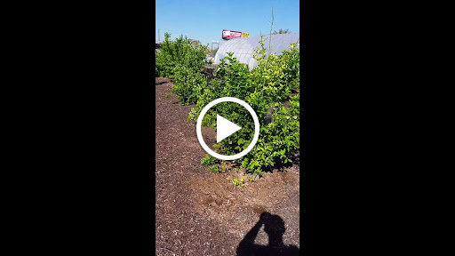 Non-Profit Organization «Society of St. Vincent de Paul - Main Campus», reviews and photos