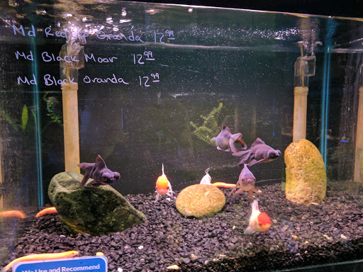 Ultimate Aquarium Inc