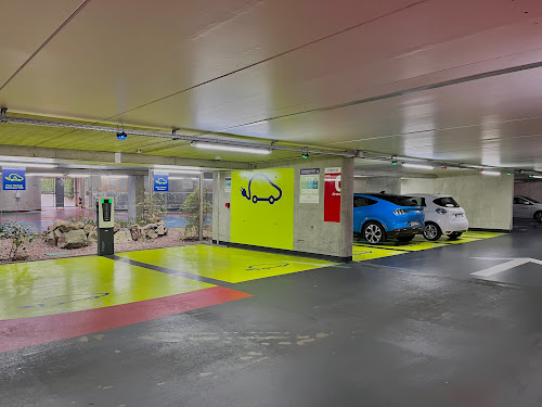 Borne de recharge de véhicules électriques Indigo Station de recharge Strasbourg