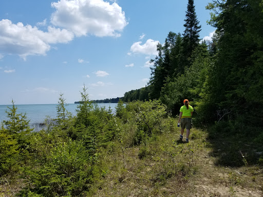 Barbara C. Hoffius Nature Preserve image 5