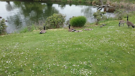 History Museum «Museum of History & Industry (MOHAI)», reviews and photos, 860 Terry Ave N, Seattle, WA 98109, USA