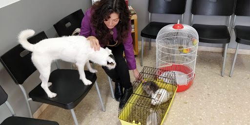 Zooclinic Clínica Veterinaria en Tarragona