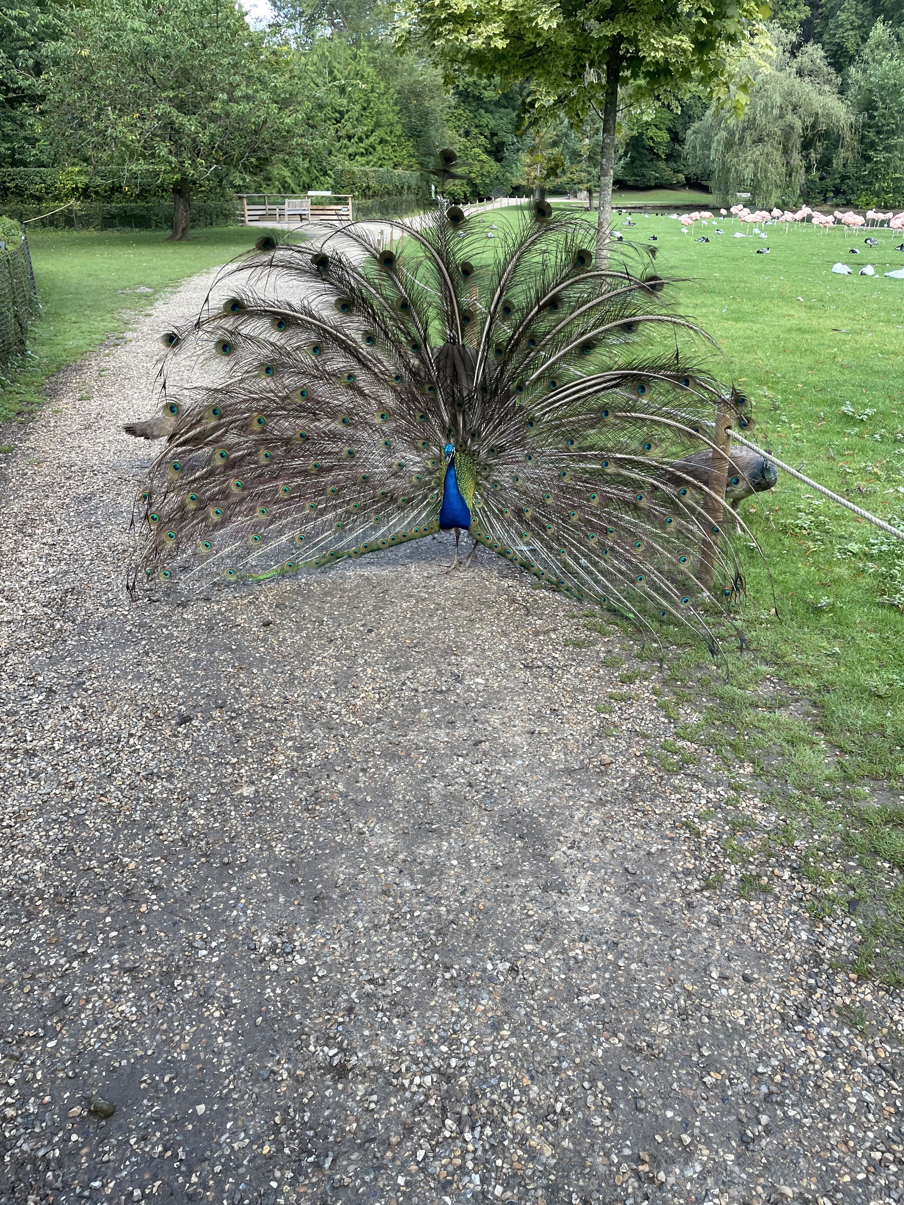 Photo n° 5 de l'avis de Chauveau.n fait le 31/08/2023 à 15:16