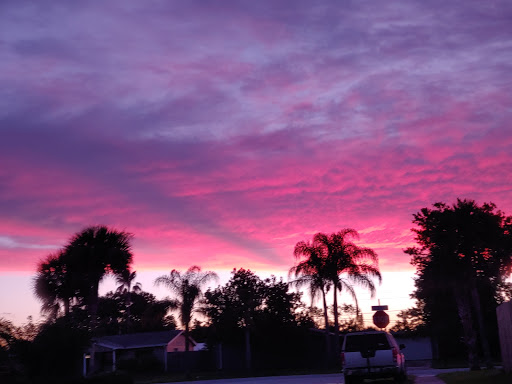 County Government Office «Brevard County Enchanted Forest Sanctuary», reviews and photos, 444 Columbia Blvd, Titusville, FL 32780, USA