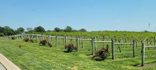 Winery «Chateau de Pique Winery», reviews and photos, 6361 N County Rd 760 E, Seymour, IN 47274, USA