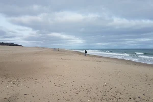 Nauset Beach image