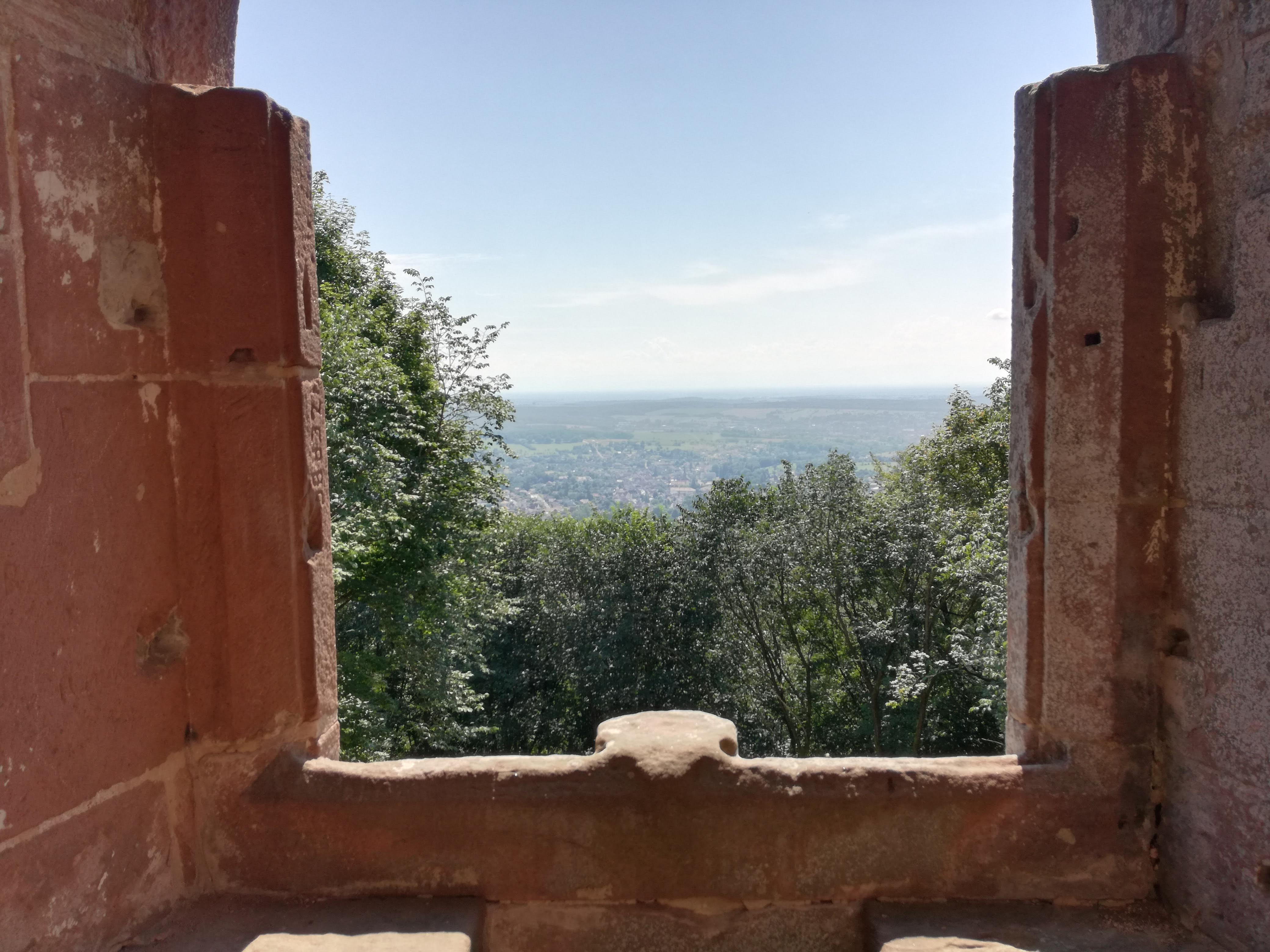Photo n° 2 de l'avis de M..a fait le 16/07/2018 à 13:46