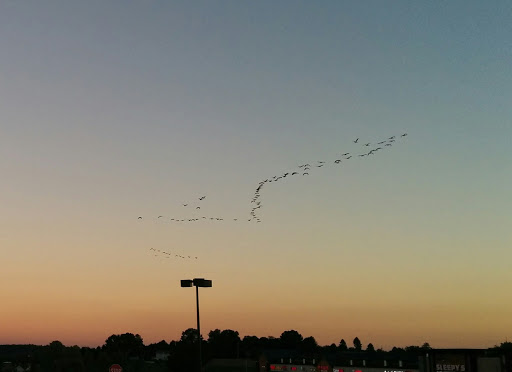 Department Store «Walmart Supercenter», reviews and photos, 1800 Tilden Ridge Dr, Hamburg, PA 19526, USA
