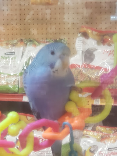 Pet Supply Store «Petco Animal Supplies», reviews and photos, 1835 E Guadalupe Rd #112, Tempe, AZ 85283, USA