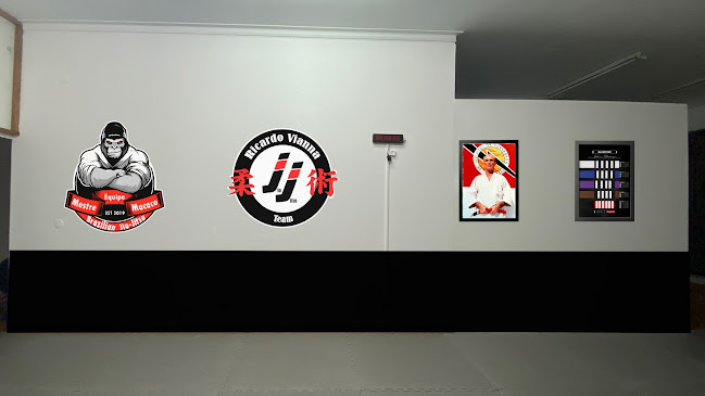 Brazilian Jiu-Jitsu