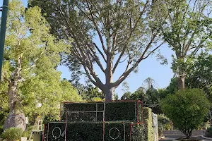 The Avatar Tree. image