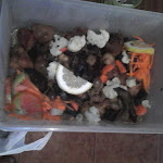 Photo n°1 de l'avis de VASCO.E fait le 25/07/2019 à 12:58 sur le  CASA SALÉ à Esposende