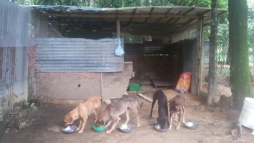 Refugio San Francisco