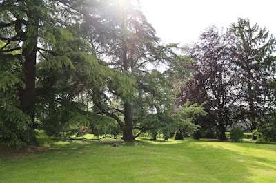 Jardin Jane Limousin à Châteauneuf-la-Forêt