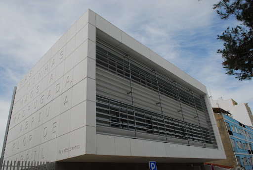 Municipal Library Ary dos Santos