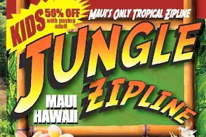 Jungle Zipline Maui-HI image