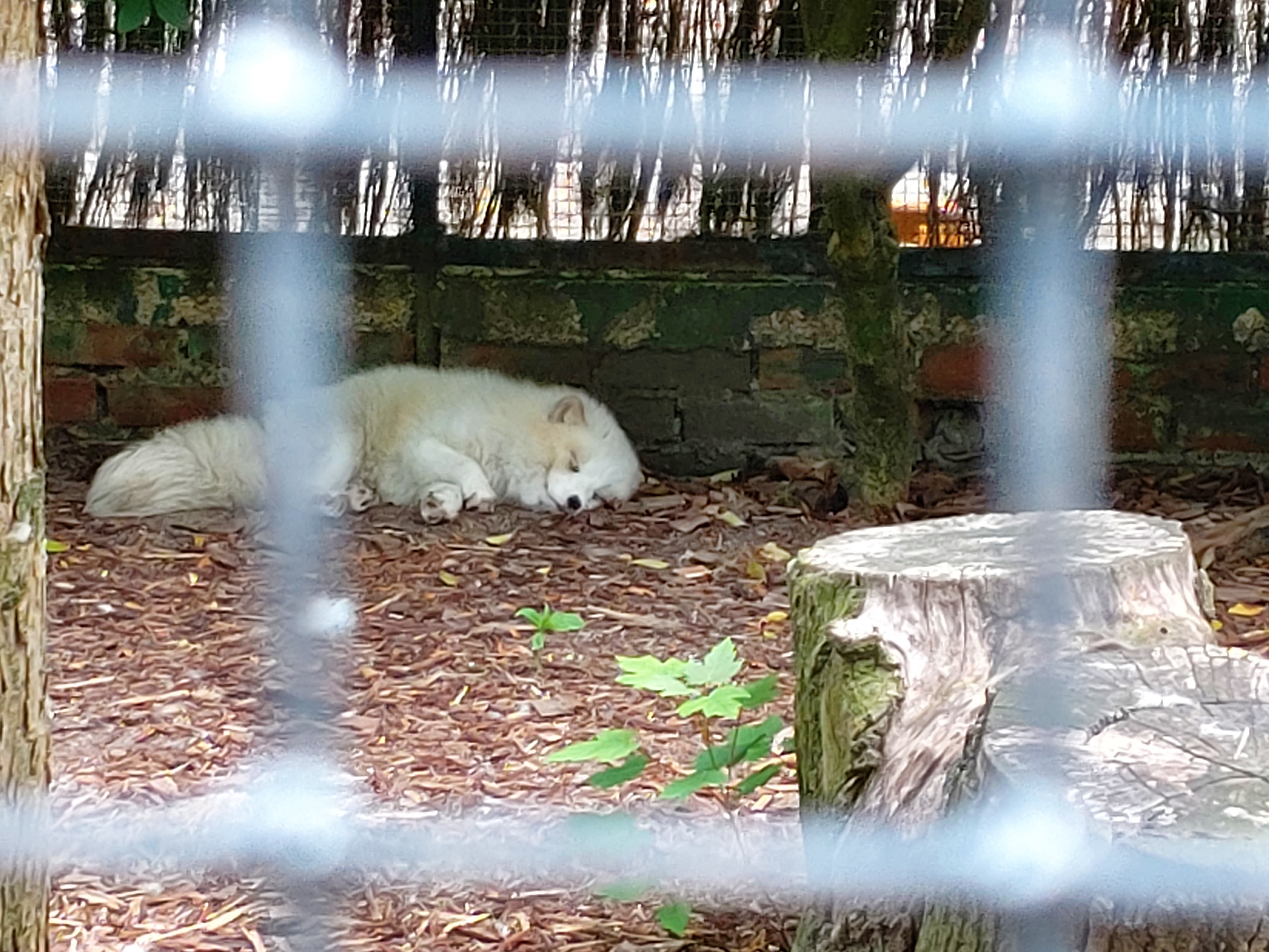Photo n° 14 de l'avis de DJ.i fait le 12/06/2021 à 15:42