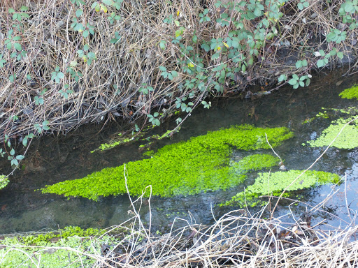 Park «Jackson Park Golf Course», reviews and photos, 1000 NE 135th St, Seattle, WA 98125, USA