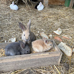 Photo n°15 de l'avis de alessandro.e fait le 07/03/2022 à 20:13 sur le  Asd C'era Una Volta il West à Fiumicino