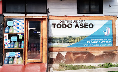 Todo Aseo Pucón