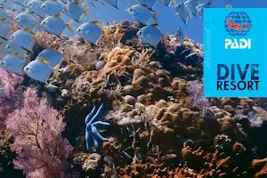 Dive Resort Diving La Vida Loca image