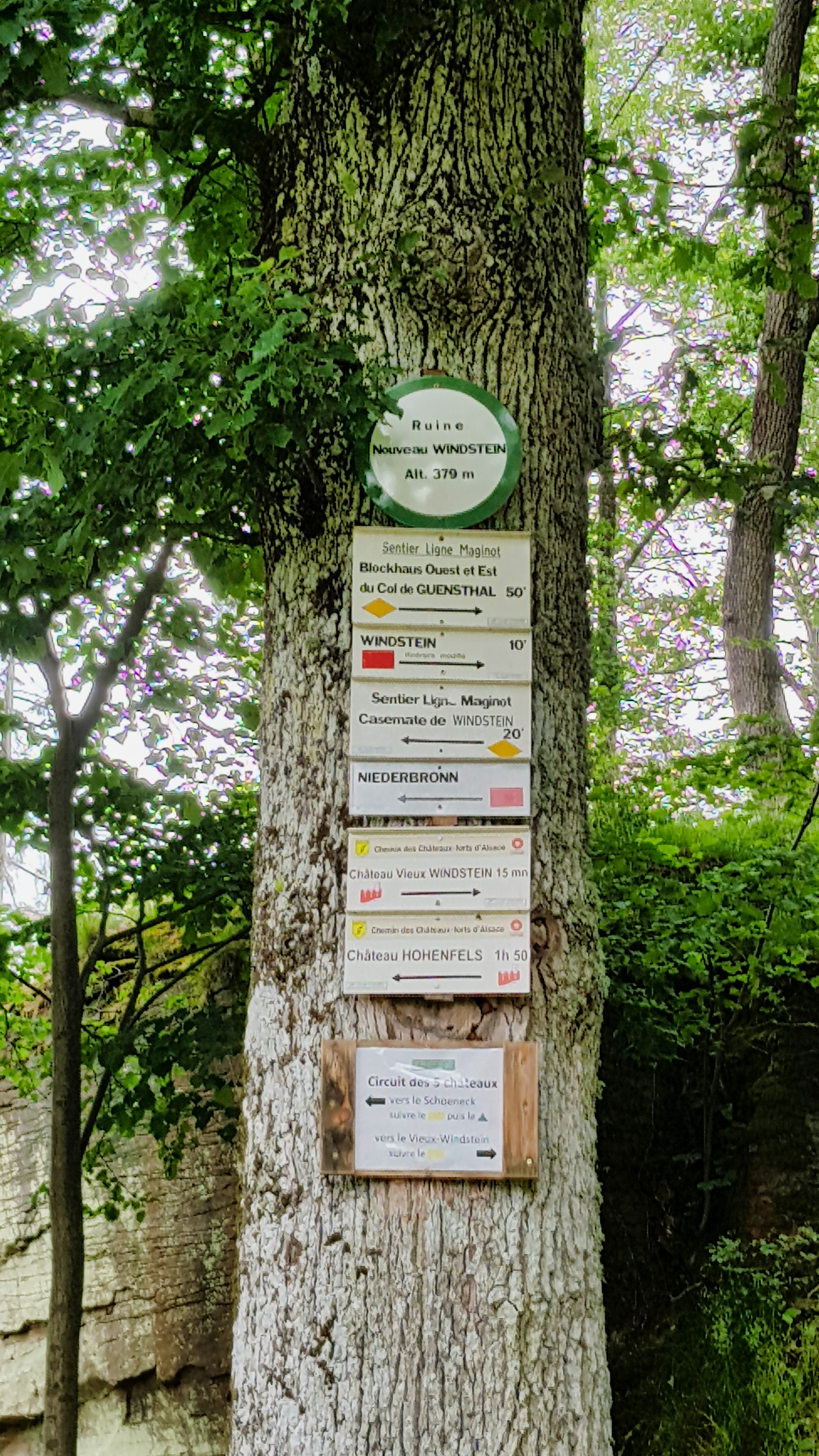 Photo n° 9 de l'avis de Sven.a fait le 15/06/2019 à 16:45