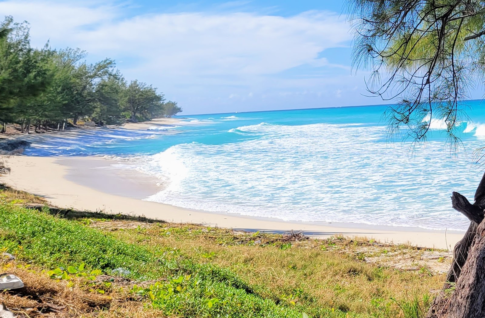 Photo de Alice Town beach avec sable lumineux de surface