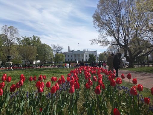 Park «Lafayette Square», reviews and photos, Pennsylvania Ave NW & 16th Street Northwest, Washington, DC 20001, USA