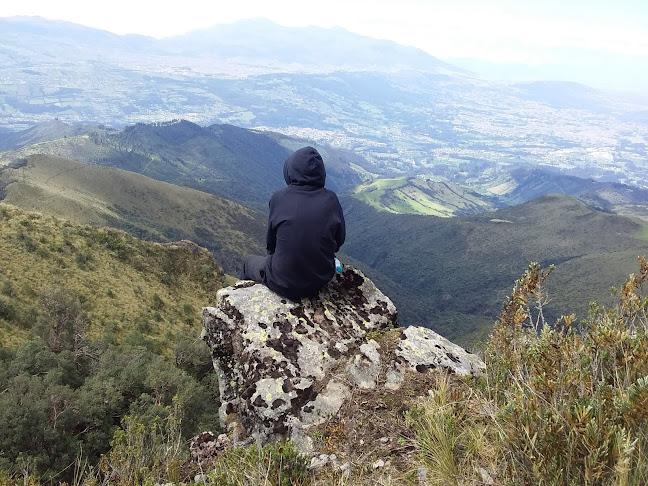 Criadero AnsoldeCotopaxi