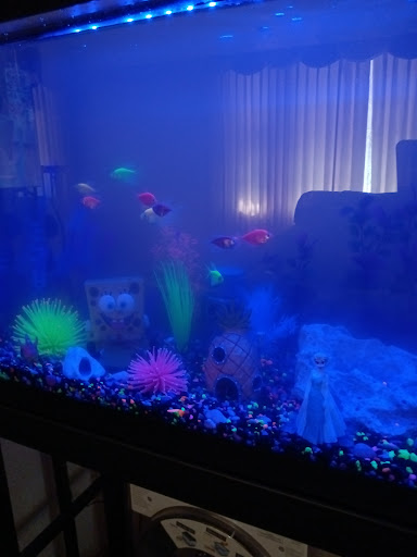 Pet Supply Store «Pet Supplies Plus», reviews and photos, 911 N Cable Rd a, Lima, OH 45805, USA