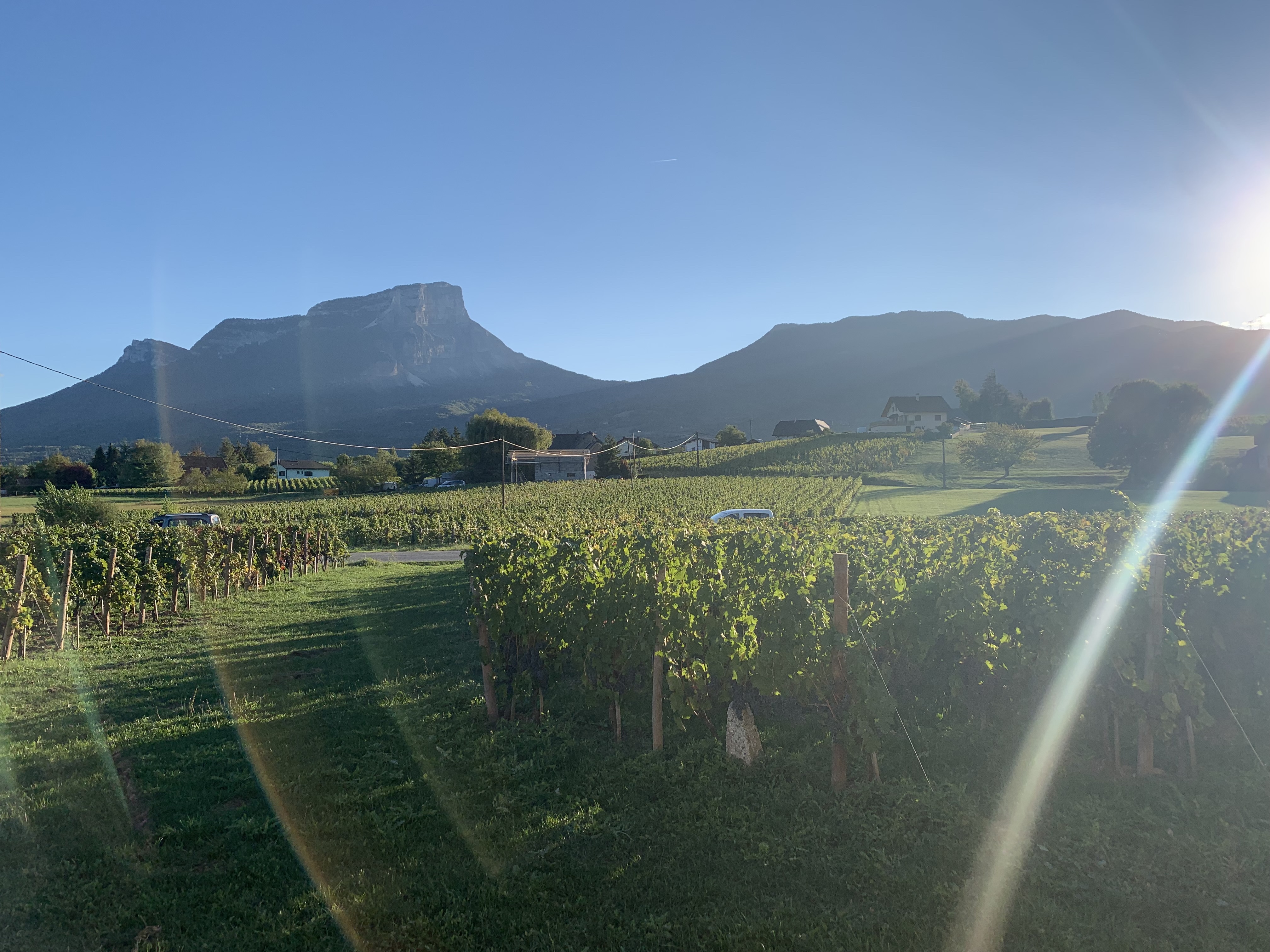 Photo n° 1 de l'avis de M.a fait le 19/09/2022 à 16:41