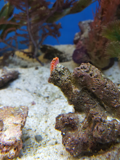 Pet Store «Pet World Warehouse Outlet», reviews and photos, 2984 S 108th St, Milwaukee, WI 53227, USA