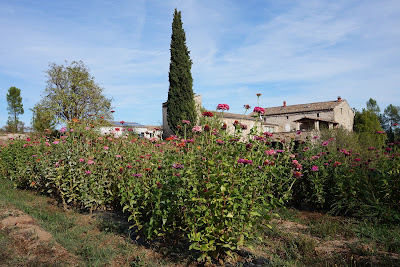 Domaine de Mercoire à Rosières