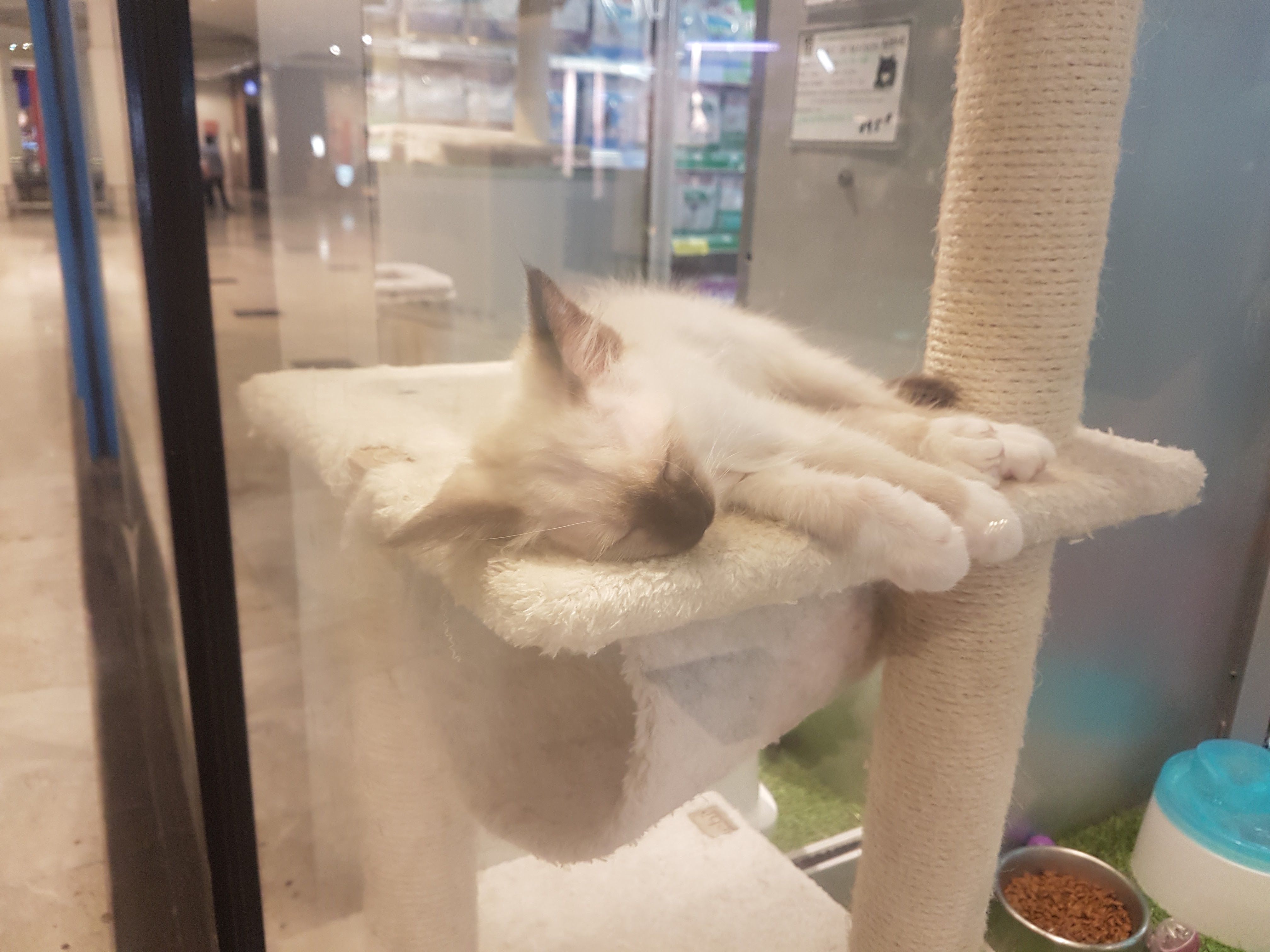 Photo n° 4 de l'avis de Jerome.a fait le 24/07/2018 à 09:52