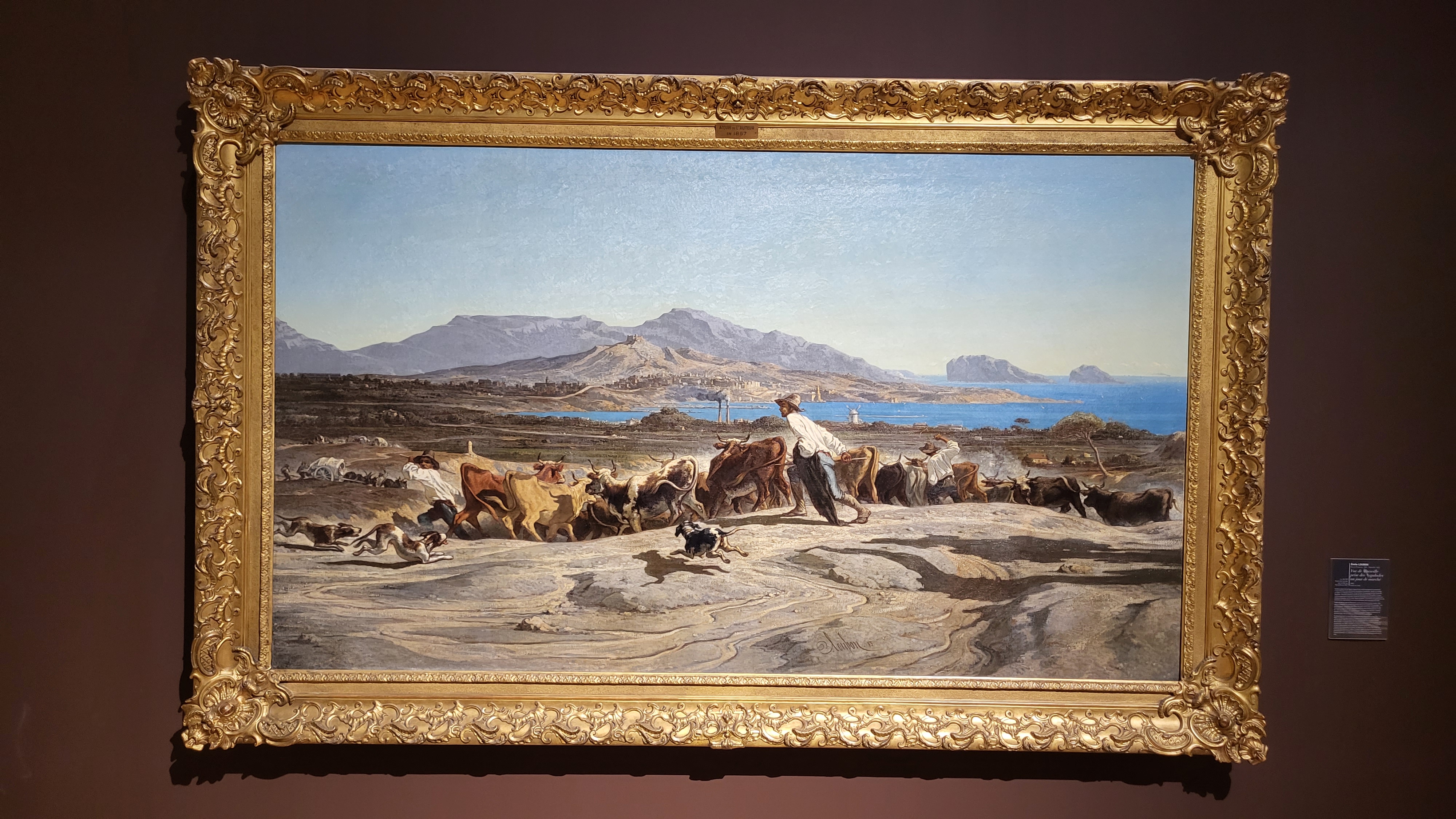 Photo n° 7 de l'avis de Didier.M fait le 25/01/2022 à 06:57