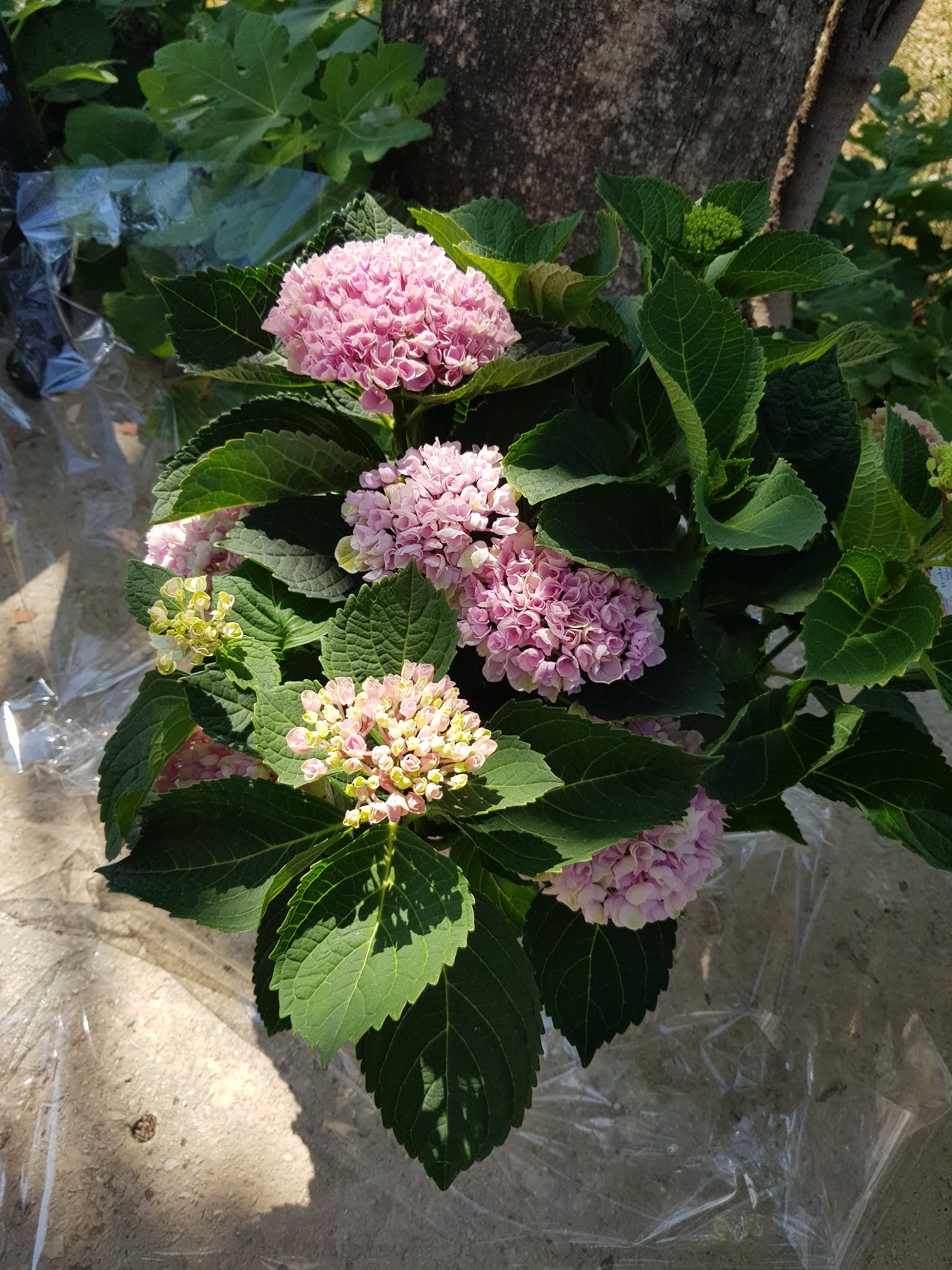 Photo n° 1 de l'avis de Marine. fait le 24/08/2019 à 13:04